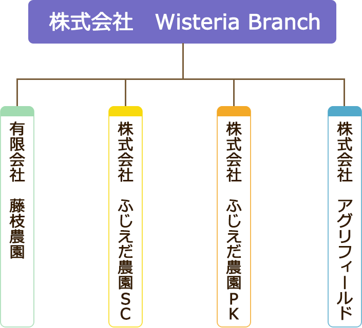 株式会社 Wisteria Branch　有限会社藤枝農園　株式会社ふじえだ農園SC　株式会社ふじえだ農園PK　株式会社アグリフィールド