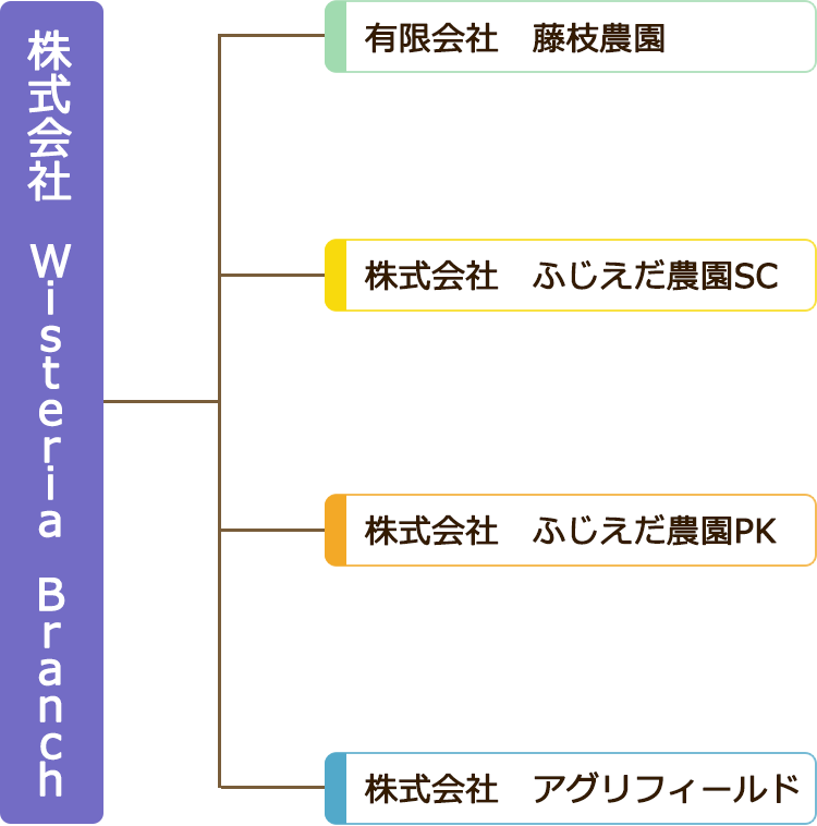 株式会社 Wisteria Branch　有限会社藤枝農園　株式会社ふじえだ農園SC　株式会社ふじえだ農園PK　株式会社アグリフィールド